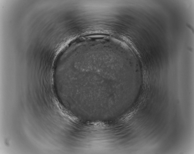 X0000100390395200806201718