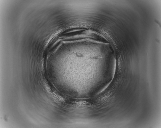 X0000100390396200806201718