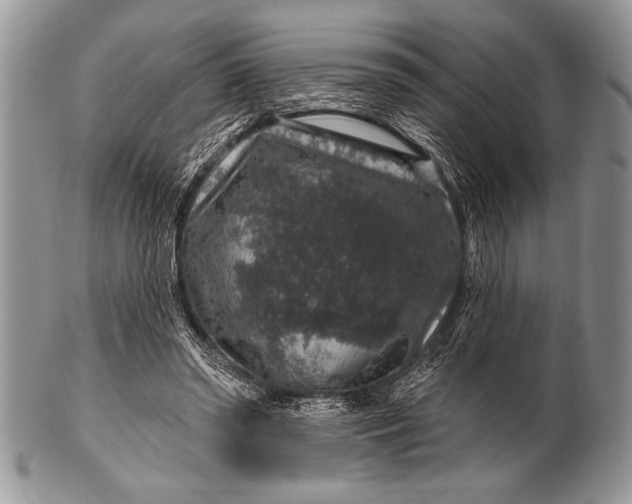 X0000100390398200806201718