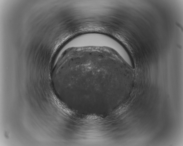 X0000100390399200806201718