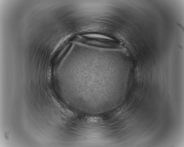 X0000100390400200806201718