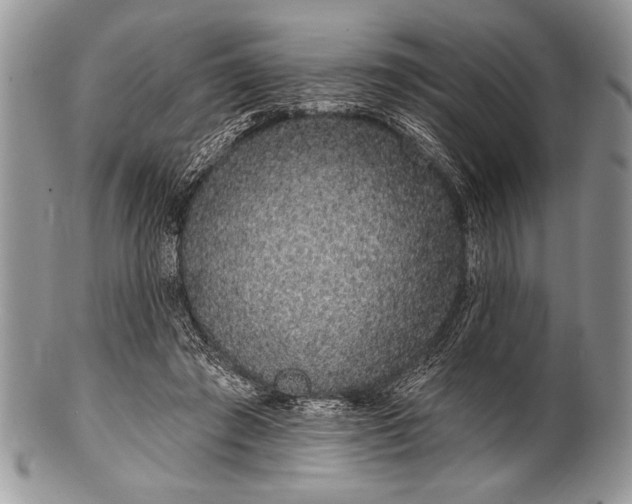 X0000100390401200806201718