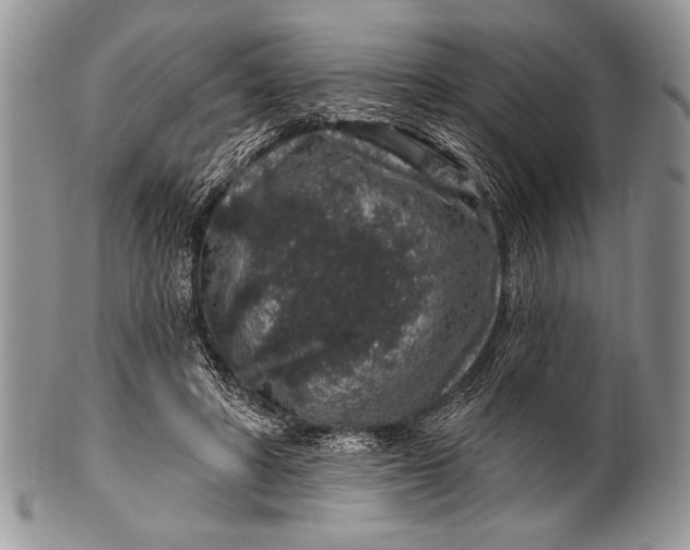 X0000100390402200806201718