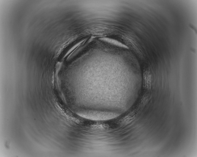 X0000100390404200806201718