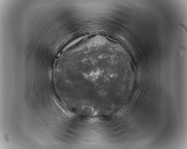 X0000100390405200806201718