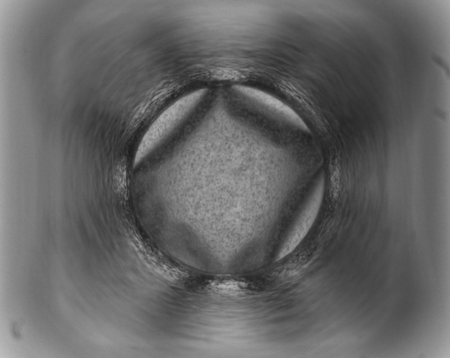 X0000100390407200806201718