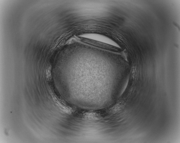 X0000100390408200806201718