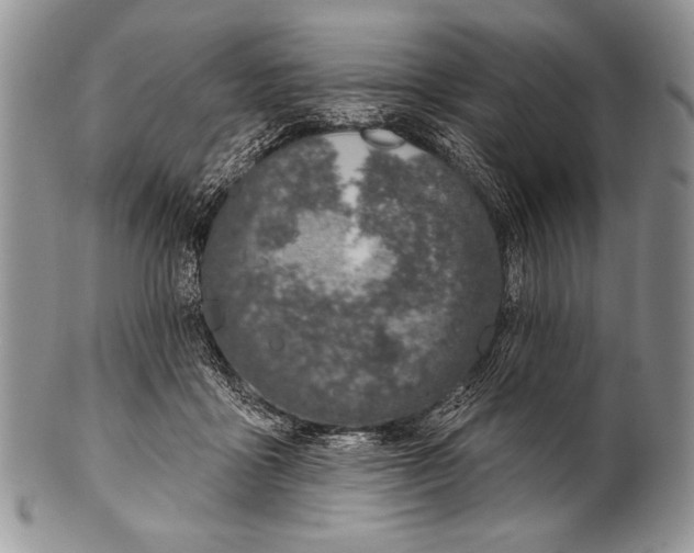 X0000100390411200806201718