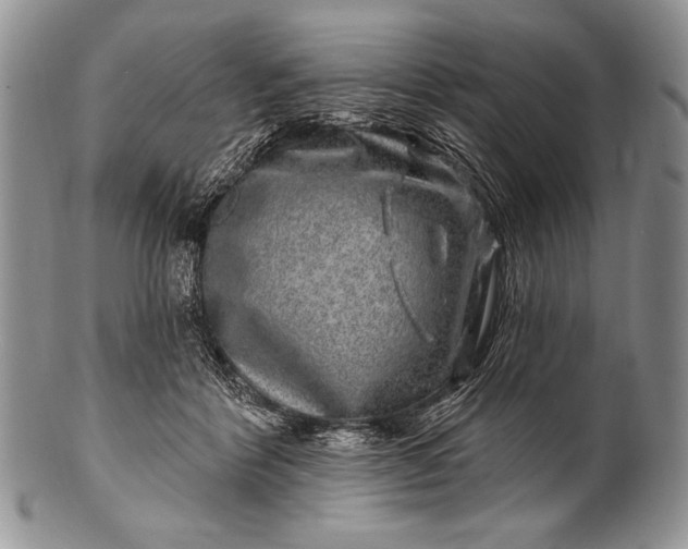 X0000100390412200806201718