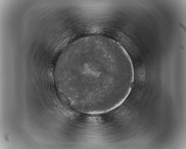 X0000100390415200806201718