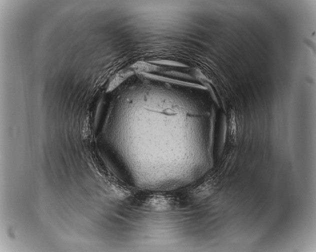 X0000100390416200806201718