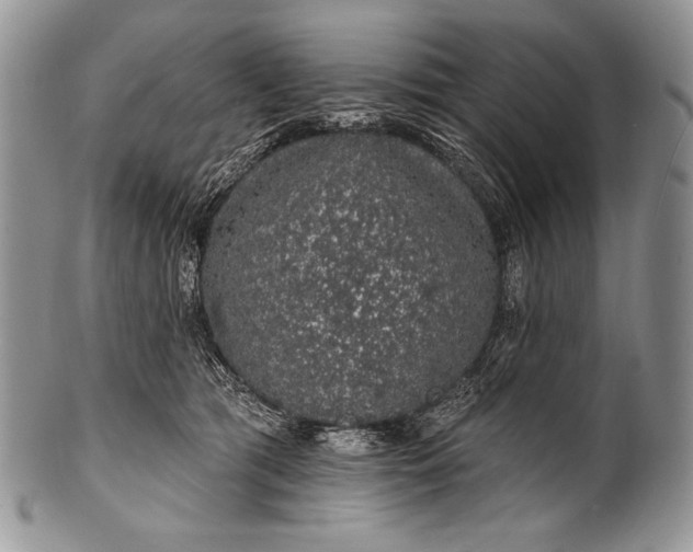 X0000100390417200806201718