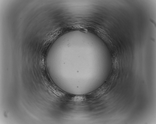 X0000100390418200806201718