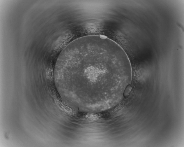 X0000100390419200806201718