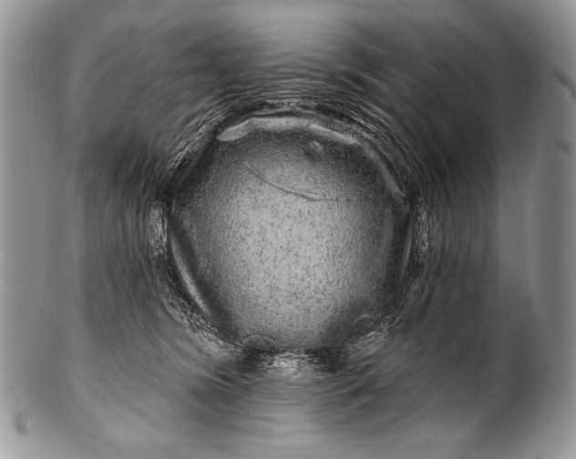 X0000100390420200806201718