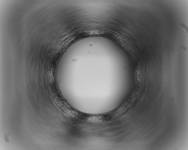 X0000100390422200806201718