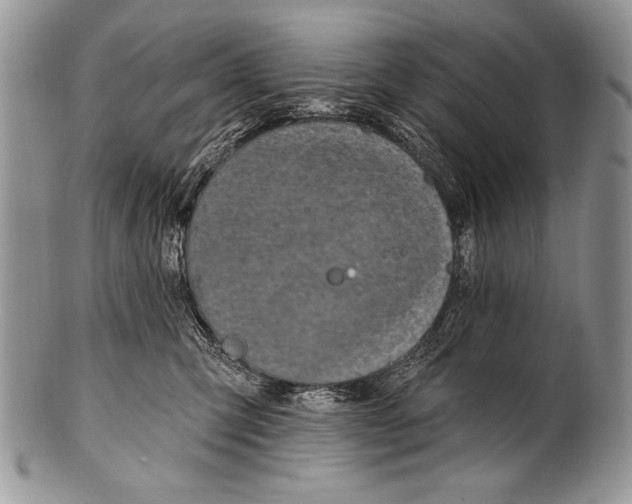 X0000100390423200806201718