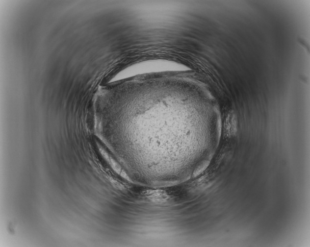 X0000100390424200806201718