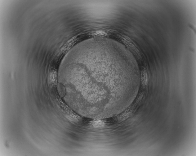 X0000100390425200806201718