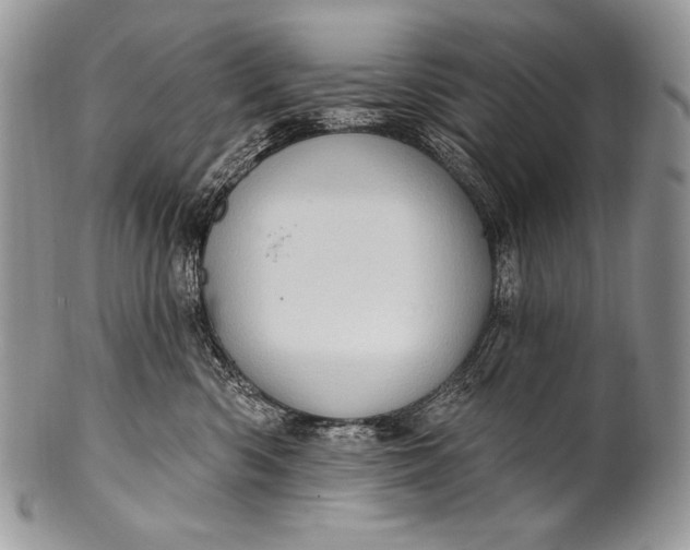 X0000100390426200806201718