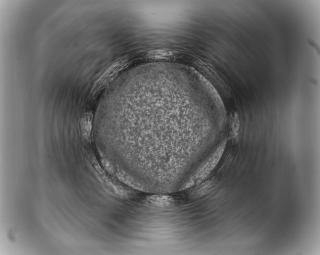 X0000100390427200806201718