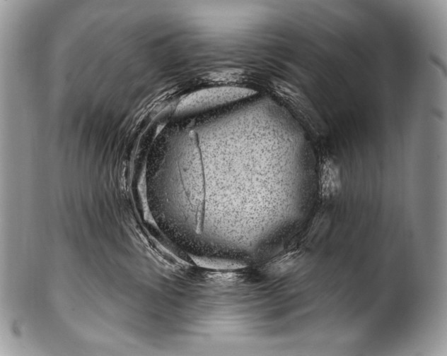 X0000100390428200806201718