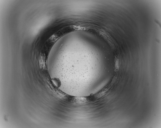 X0000100390429200806201718