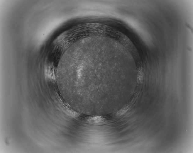 X0000100390431200806201718