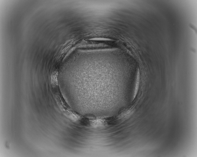 X0000100390432200806201718