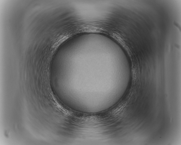 X0000100390433200806201717