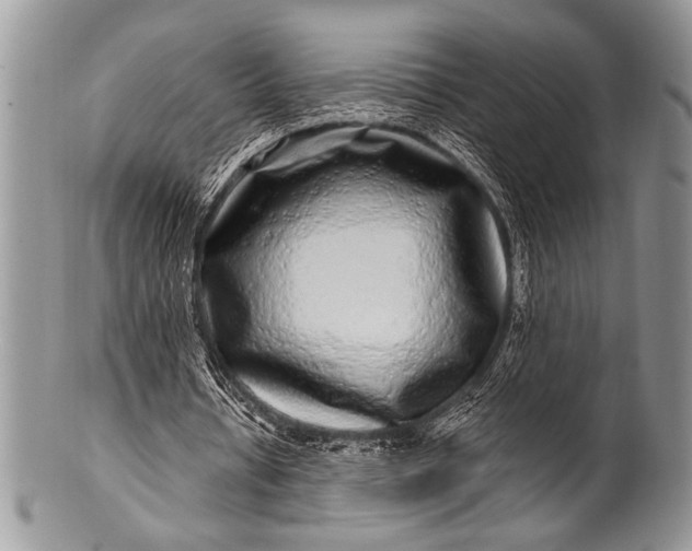 X0000100390434200806201717