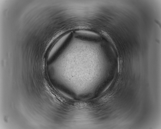 X0000100390435200806201717