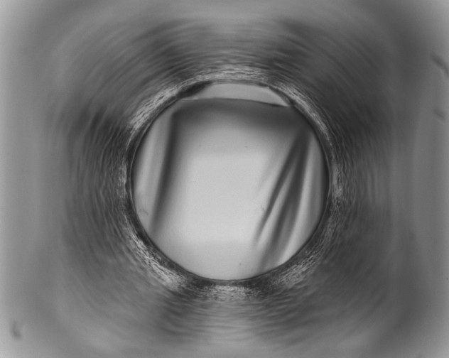 X0000100390437200806201717