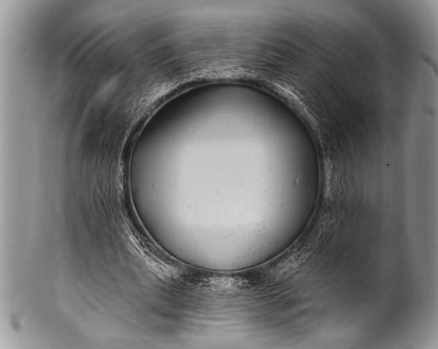 X0000100390439200806201717