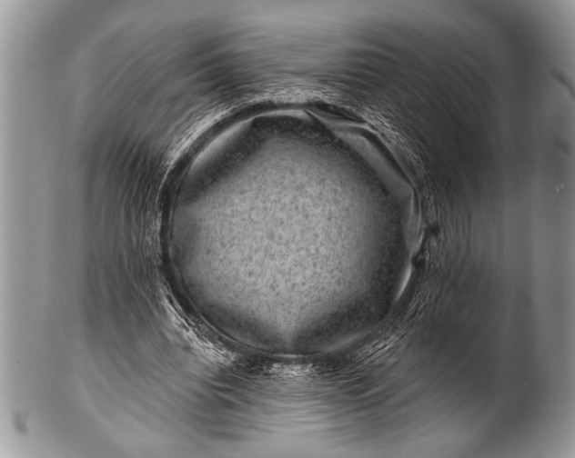 X0000100390440200806201717