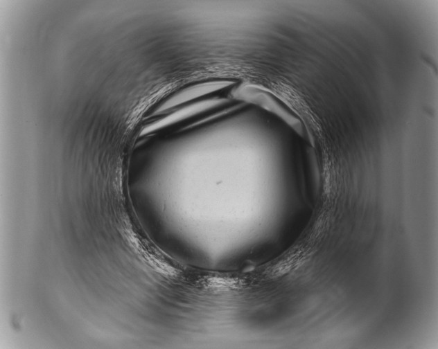 X0000100390442200806201717