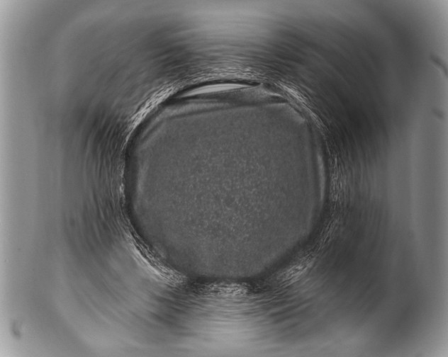 X0000100390443200806201717