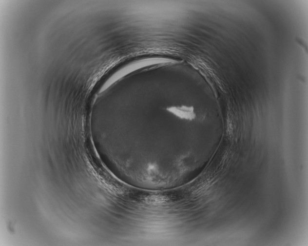 X0000100390444200806201717