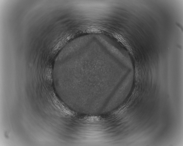 X0000100390449200806201717