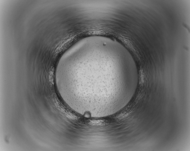 X0000100390450200806201717