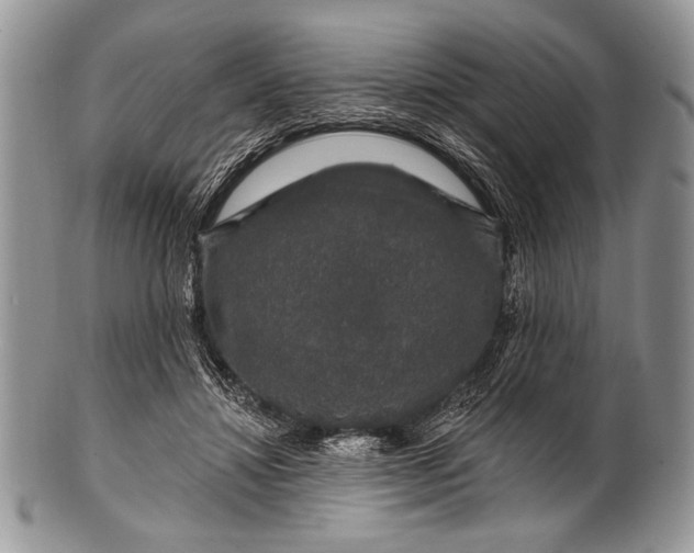 X0000100390452200806201717