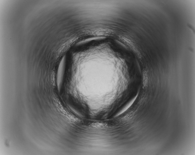 X0000100390453200806201717