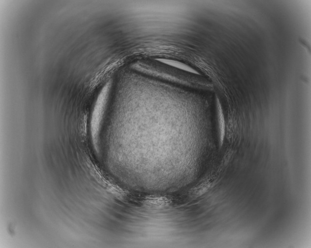 X0000100390454200806201717