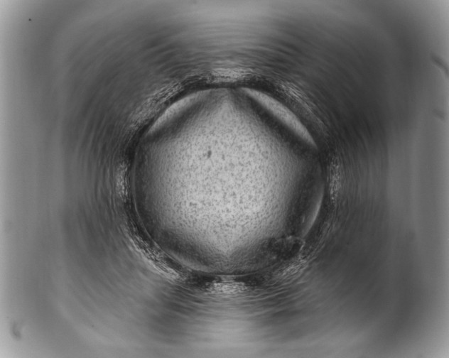 X0000100390455200806201717