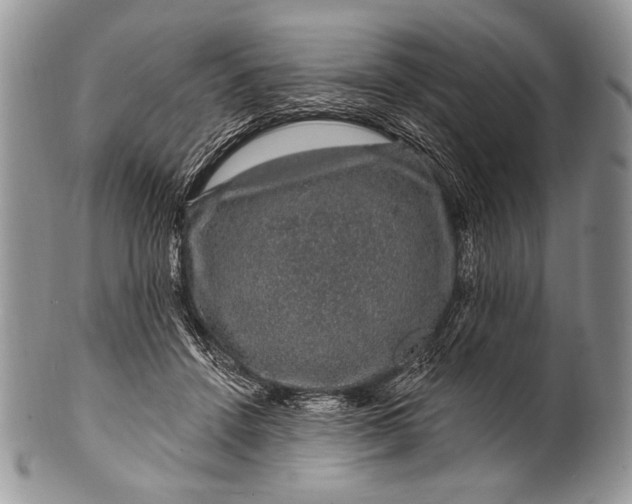 X0000100390456200806201717