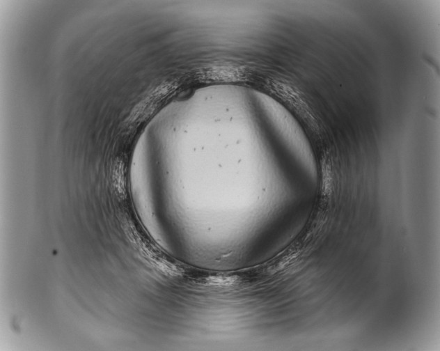 X0000100390457200806201717