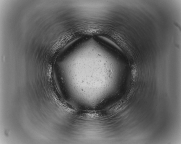 X0000100390458200806201717