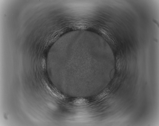 X0000100390459200806201717