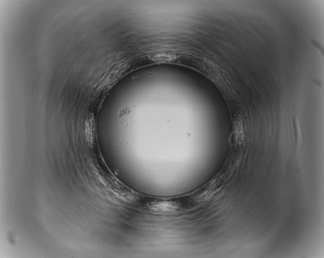 X0000100390460200806201717