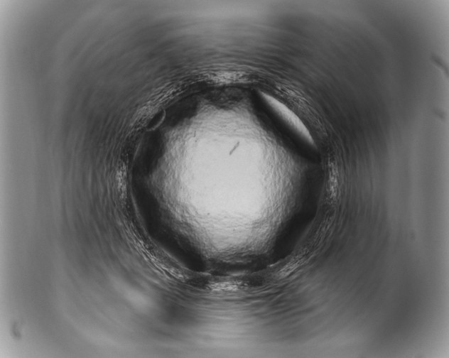 X0000100390461200806201718